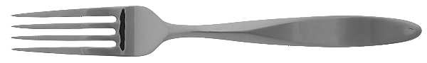 Verge (Stainless) Fork