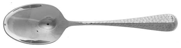Hewitt (Stainless) Sugar Spoon
