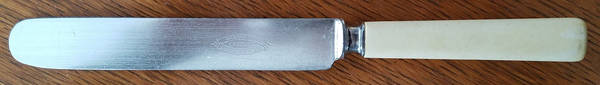 LFC10 (Silverplate) Blunt Solid Knife