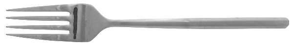 Acacia Frosted (Stainless) Individual Salad Fork