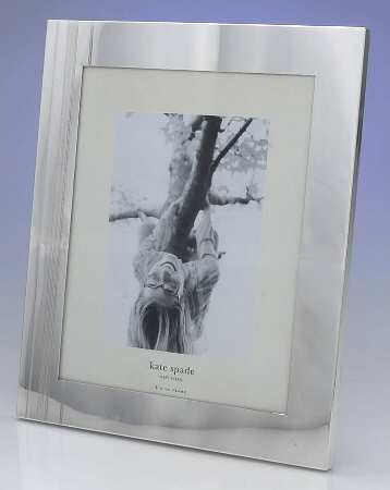 Library Stripe (Silverplate Giftware) Frame Holds 8" X 10"