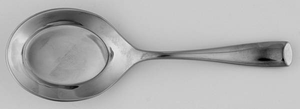 Flare (Stainless) Individual Solid Piece Tasting Spoon