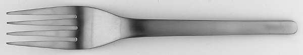 LDN1 (Stainless) Fork