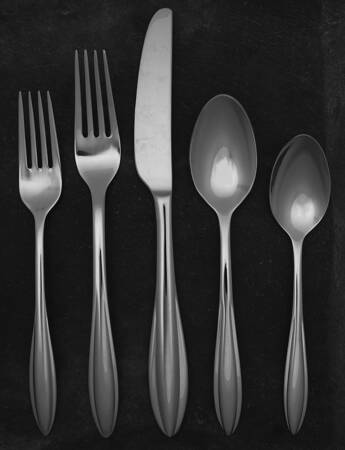 Sculpt (Stainless) 5 Piece Place Setting