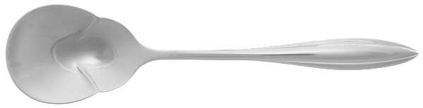 Sculpt (Stainless) Sugar Spoon