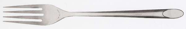 Rift (Stainless) Fork