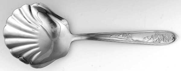 Accoutrements (Stainless) Solid Shell Casserole Spoon