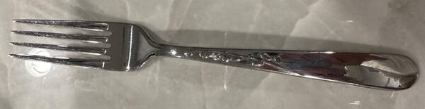 Gardner Street (Stainless) Fork