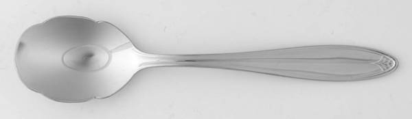 Covington (Stainless) Sugar Spoon