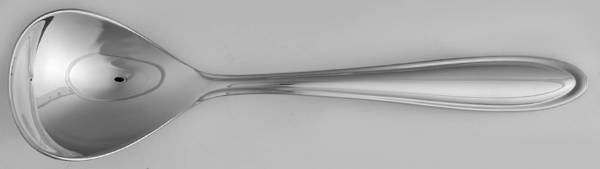 Hayden (Stainless) Sugar Spoon