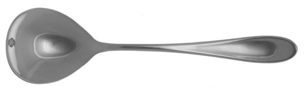 Chesterbrook (Stainless) Sugar Spoon