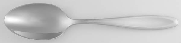 Eastbourne (Stainless) Tablespoon (Serving Spoon)