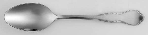 Wescott (Stainless) Teaspoon