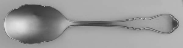 Wescott (Stainless) Sugar Shell Spoon