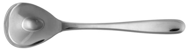 Haven (Stainless) Sugar Spoon