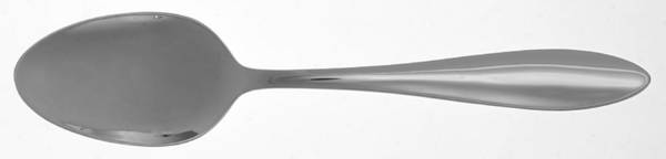 Ellison (Stainless) Tablespoon (Serving Spoon)