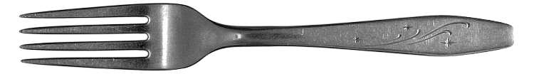 Citation (STAINLESS) Fork
