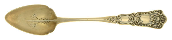 Webster (Sterling, 1890) Bright Cut Fruit/Orange Spoon