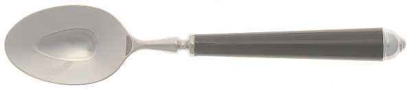 Claridge-Black (Stainless) Teaspoon