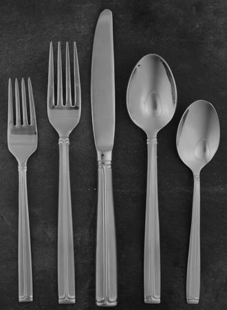 Meridian Satin (Stainless, Frost Handle) 5 Piece Place Setting