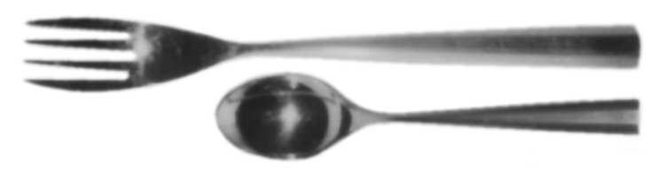 MIS7 (STAINLESS) Fork
