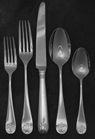 Water Lily (Stainless) 5 Piece Place Setting
