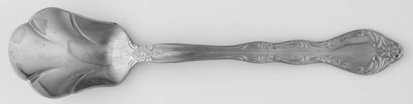 MLL2 (STAINLESS) Sugar Shell Spoon