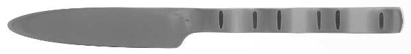 Splash (Stainless) Flat Handle Master Butter Knife