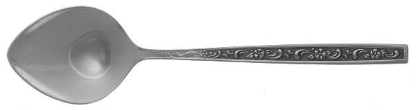 MMA1 (STAINLESS) Sugar Spoon