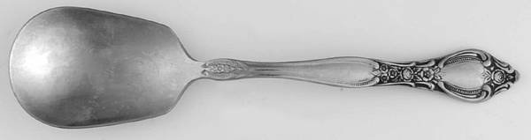 MMA2 (STAINLESS) Sugar Spoon