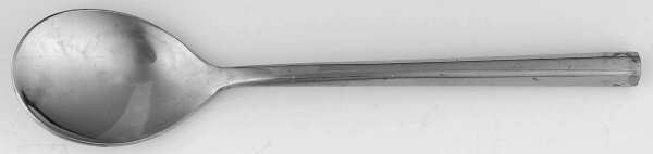 MNF11 (STAINLESS) Sugar Spoon