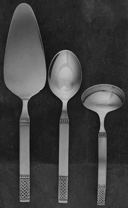 Danika (Merchandise Serv)(Stainless) 3 Piece Completer Set