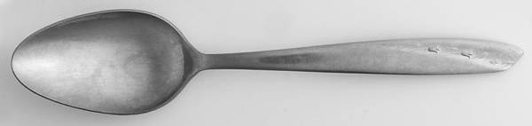 MWD3 (STAINLESS) Teaspoon