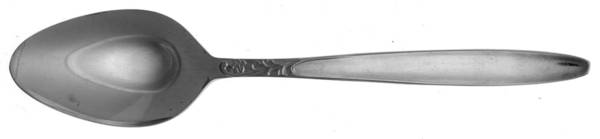MWD8 (STAINLESS) Teaspoon