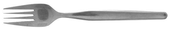 MXN1 (Stainless) Fork