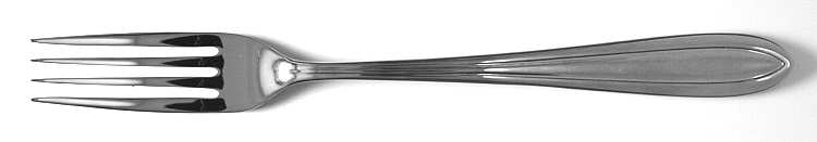 Silk (Stainless) Fork