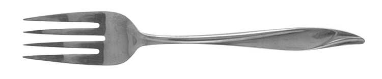 MWD14 (Stainless) Individual Salad Fork