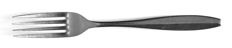 MHO24 (Stainless) Fork