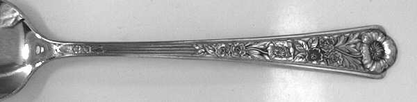 MEO2 Teaspoon