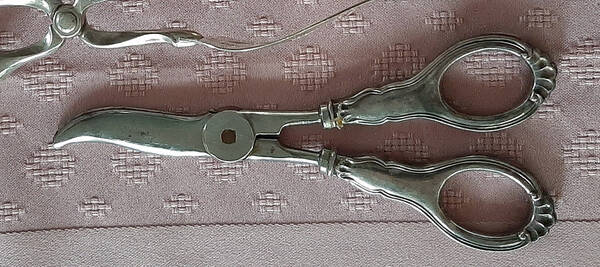 Martha (Sterling) Grape Shears with Hollow Handle