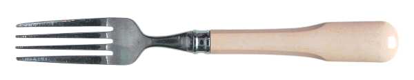 MIS23 (STAINLESS) Fork