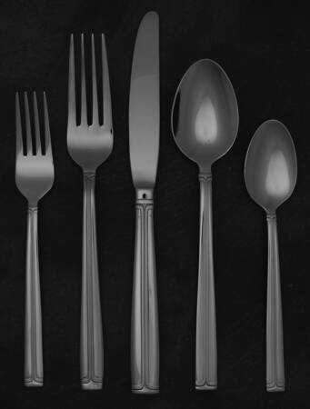 Parallels (Stainless) 5 Piece Place Setting