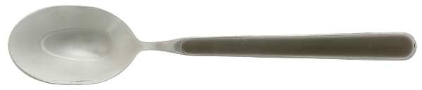 Elite-Black (Stainless) Teaspoon