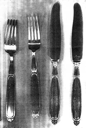 Mxm1 (Silverplate) Fork