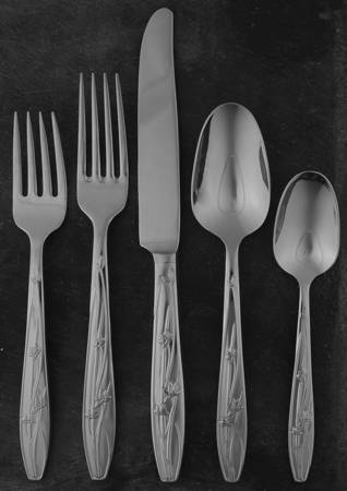 Pure Red (Stainless) 5 Piece Place Setting