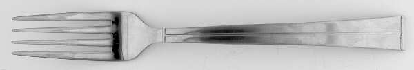 MNF36 (Stainless) Fork