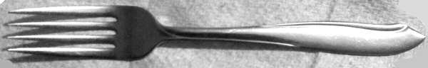 MHO30 (Stainless) Fork