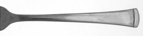 Contempo (Stainless) by Mikasa