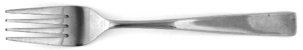 MNF44 (Stainless) Fork