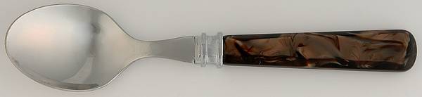 Tortoise (Stainless) Teaspoon